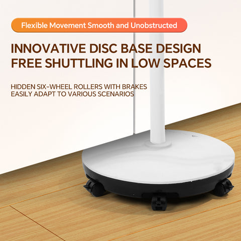 2025 New Model TDP Far Infrared Mineral Heat Lamp Arrived!